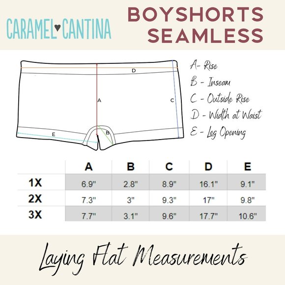 6 Pack Women's Plus Boyshorts Seamless 1X-3X A8+ Fall New NWB - Picture 7 of 7